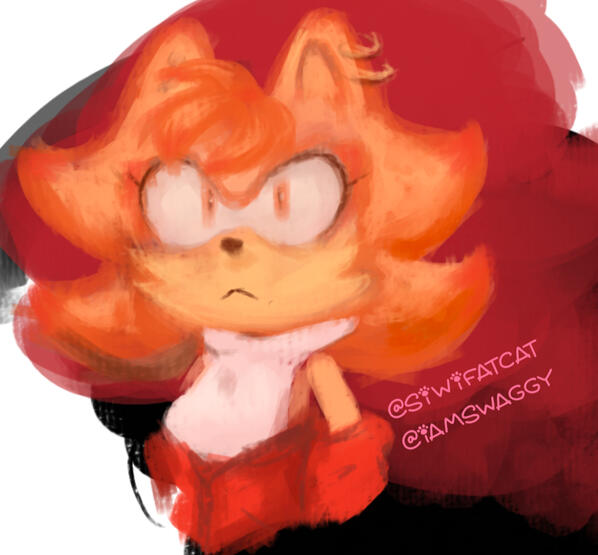 Ambrosia the Cat Ambrosia the Cat