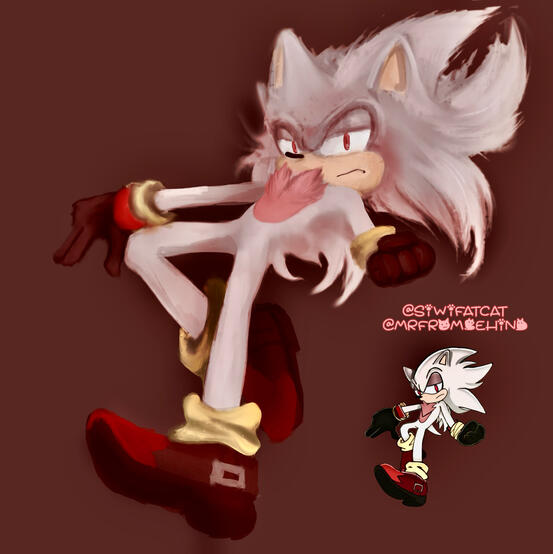 Ash the Hedgehog Ash the Hedgehog